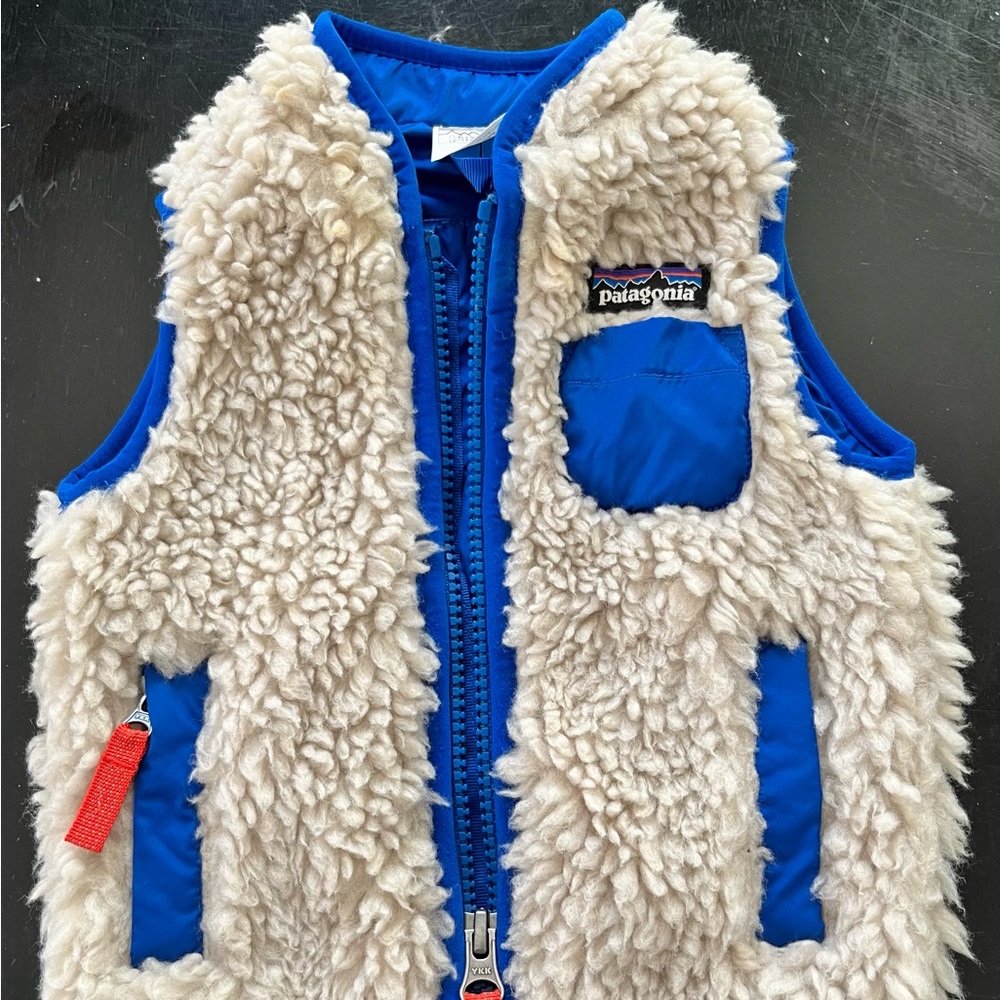 Patagonia retro fleece vest